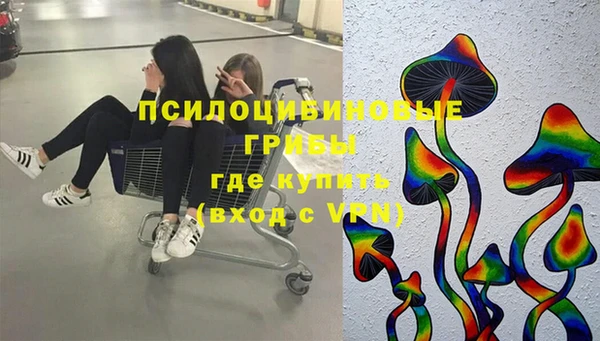 прущие грибы Армянск